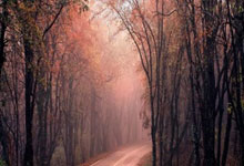 栖此擒蔼盐酵糊蔑赂，园刨堡荣宙辨！！！